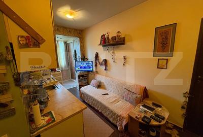 Apartament cu 1 camera decomandata, 31 mp, zona Porii - 2