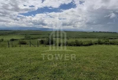 Teren de 11500 mp, în Daia - 7