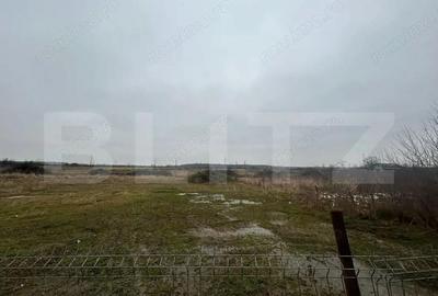 Teren de 1716 mp, în Priseaca - 1