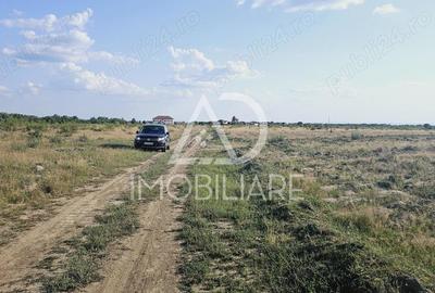 Teren de vanzare Preajba - 6