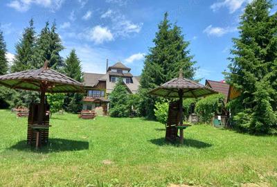 Casă cu 6 camere cu Teren 6060 Mp în Căsoi - 6