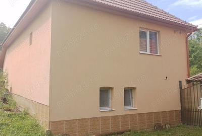 Casă cu 5 camere cu Teren 200000 Mp în Șerel - 7