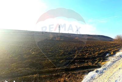 Teren de 4956 mp, în Calea Bârladului - 8