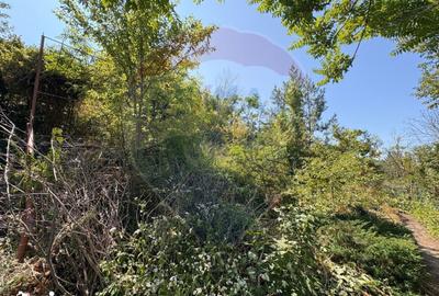 Teren de 589 mp, în Ghioroc - 3