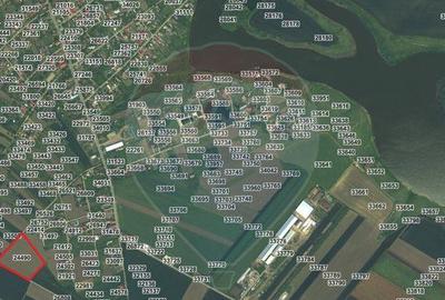 Teren intravilan - 17.500 mp - Gostilele Fundulea - 4