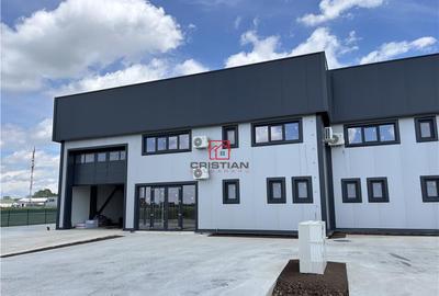 Spațiu comercial, de 485 mp, în Domnești - 1