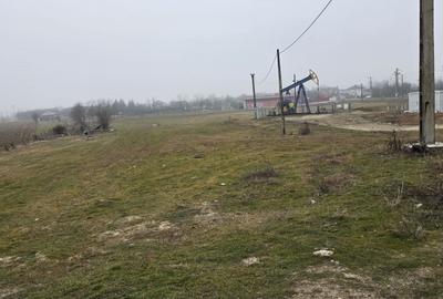Teren de 2673 mp, în Dragomirești - 3