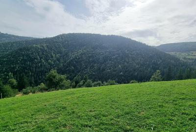 Vand teren la munte pentru cabana