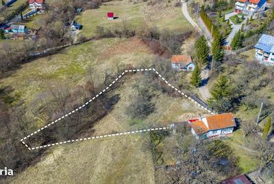 Spațiu comercial, în Vâlcele - 3