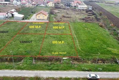 Trei parcele de 600 mp in Botiz | Toate utilitatile, aproape de oras - 6