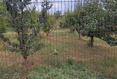 Teren de 650 mp, în Central - 1