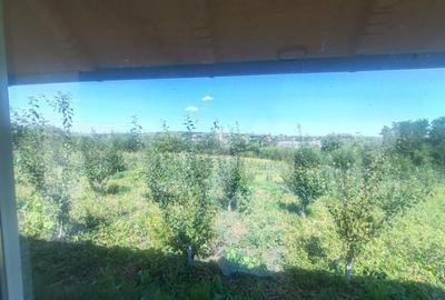 Casu?a tip foi?or, 30 mp, pe un teren de 3.000 mp, veder - 2