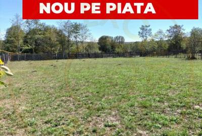 Teren intravilan de vanzare in Berevoie?ti, Arge? 25 - 3