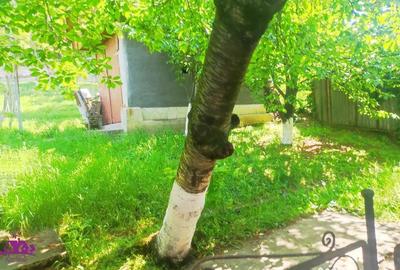 Casă cu 5 camere cu Teren 500 Mp în Central - 11