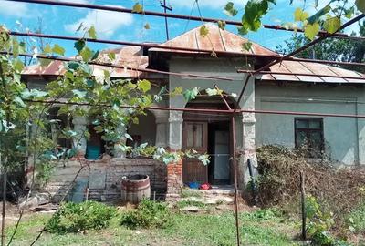 Casă în Tetoiu - 2