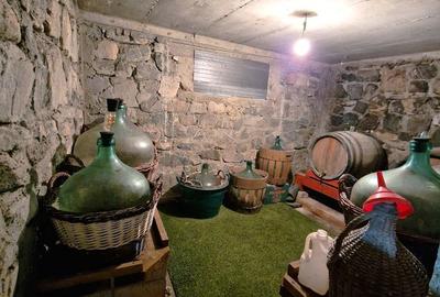 Casă cu 10 camere cu Teren 1100 Mp în Șotânga - 3