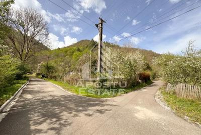 Casă cu 2 camere cu Teren 725 Mp în Toplița - 14