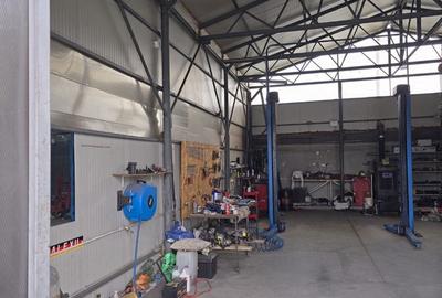 Casă cu 4 camere cu Teren 2445 Mp în Plopșoru - 9
