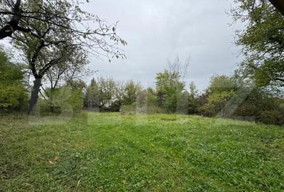 Teren intravilan 7362 mp, Oportunitate de investitie, - 2