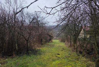 Casă în Zăuan - 2