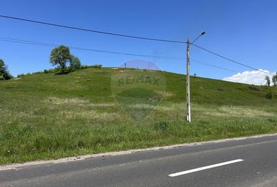 Teren 7,430mp Copalnic / Strada principala - 7