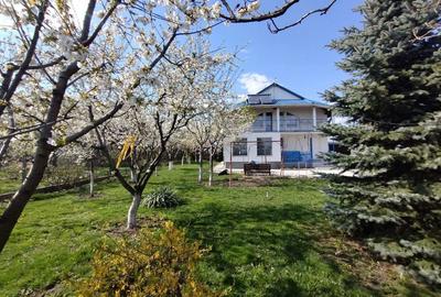 Casă cu 4 camere cu Teren 840 Mp în Moara - 1