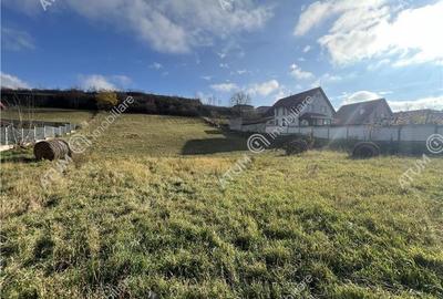 Teren intravilan de 3220 mp cu PUZ aprobat si utilitati in Sura Mare - 5