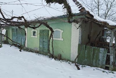 Casa cu Anexe, Gradina + 2Ha Terenuri Zalau, Salaj - 6