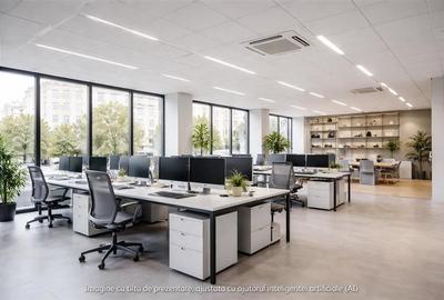 Spatiu de Birouri Piata Romana - 5