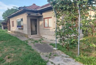 Casa de vanzare