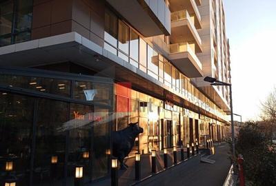 Apartamentul DUBLEKS , Unirii-Nerva Traian