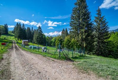 Teren intravilan cu potential turistic si de agrement, zona Trei Brazi - 15