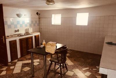Casă cu 5 camere cu Teren 270 Mp în Badea Cârțan - 5