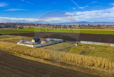 Teren intravilan 800mp Bod / Strada Iasomiei/ zona agrement Cismasu! - 3