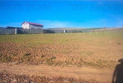 Teren extravilan de 5.000 mp, arabil, in imediata apropiere - 1