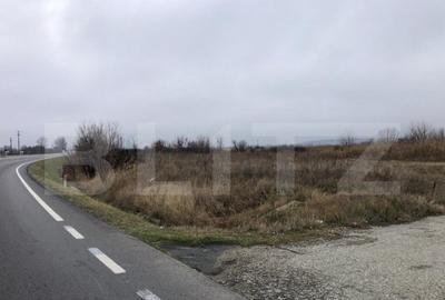 Teren intravilan industrial, 41.000 mp, front 117 m, I?alni - 2