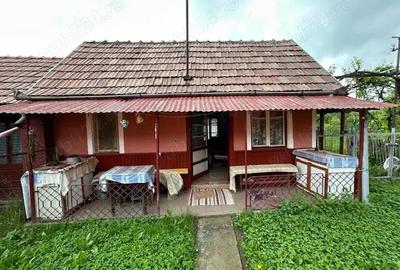 Vanzare Casa in Rusii-Mun?i, Jude?ul Mure? - 6