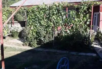 A 13. 20000 mp teren ?i 3 constructii casa in judetul Bacau - 12