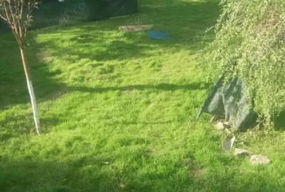 Direct propietar CASE+ GRADINA de vanzare Direct propietar CASE+ GRADINA de vanzare - 3