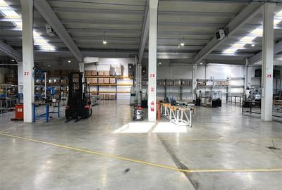 Hala moderna / Productie / Depozitare - 1