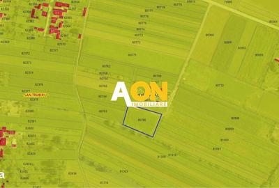 Spațiu comercial, în Galtiu - 3