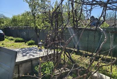 Casă cu 3 camere cu Teren 2700 Mp în Ciurari - 3