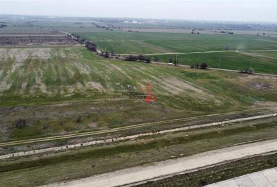 Teren extravilan 5.800 mp in Cornetu, ideal pentru investitie - 5