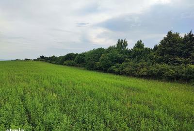 Teren de 1050 mp, în Iris