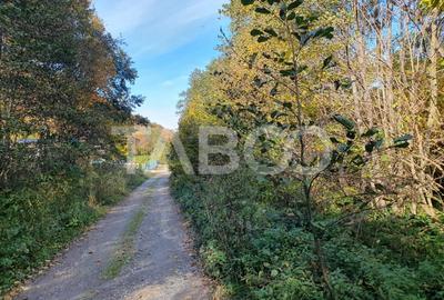 Teren in suprafata de 2990 mp cu vedere la munte zona turistica Lisa Teren in suprafata de 2990 mp cu vedere la munte zona turistica Lisa - 3