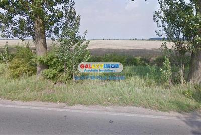 Teren intravilan de 13900 mp, în Ștefăneștii de Jos - 2
