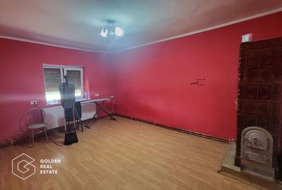 Casa in inima Urseniului - 6