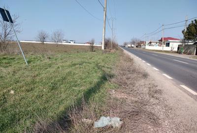 Teren de 5000 mp, în Frumușani - 2