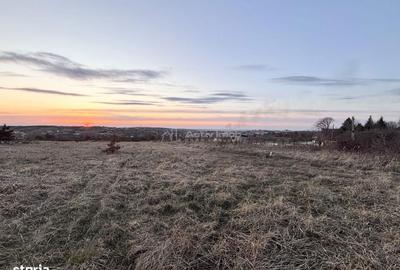 Spațiu comercial, în Săldăbagiu de Munte