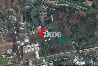 Teren agricol de 23000 mp, în Ghiroda - 1